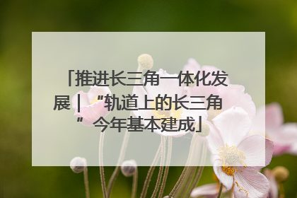 推进长三角一体化发展｜“轨道上的长三角”今年基本建成