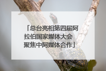 总台亮相第四届阿拉伯国家媒体大会 聚焦中阿媒体合作