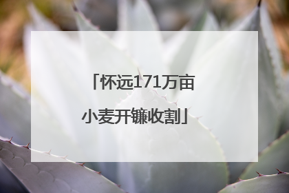 怀远171万亩小麦开镰收割