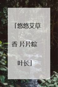 悠悠艾草香 片片粽叶长