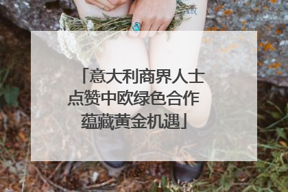 意大利商界人士点赞中欧绿色合作蕴藏黄金机遇