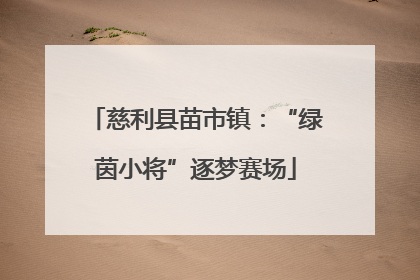 慈利县苗市镇：“绿茵小将”逐梦赛场