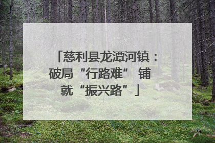 慈利县龙潭河镇：破局“行路难” 铺就“振兴路”