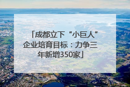 成都立下“小巨人”企业培育目标：力争三年新增350家