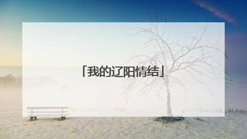 我的辽阳情结