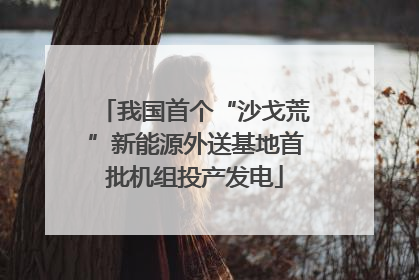 我国首个“沙戈荒”新能源外送基地首批机组投产发电