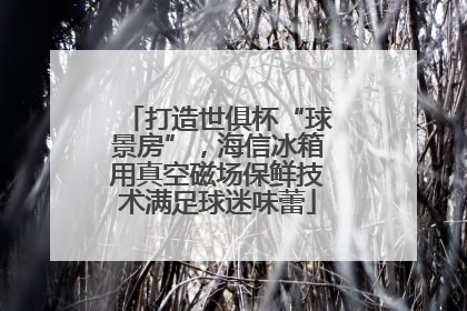 打造世俱杯“球景房”，海信冰箱用真空磁场保鲜技术满足球迷味蕾