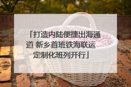 打造内陆便捷出海通道 新乡首班铁海联运定制化班列开行