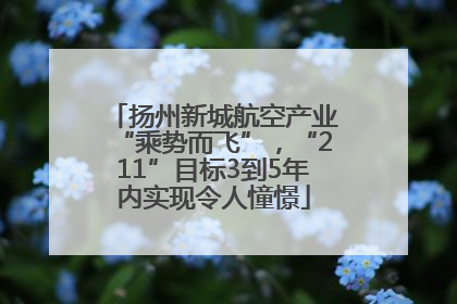 扬州新城航空产业“乘势而飞”，“211”目标3到5年内实现令人憧憬