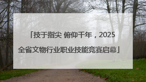 技于指尖 俯仰千年，2025全省文物行业职业技能竞赛启幕
