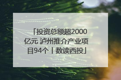 投资总额超2000亿元 泸州推介产业项目94个丨数读西投