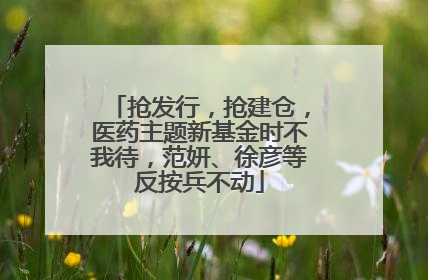 抢发行，抢建仓，医药主题新基金时不我待，范妍、徐彦等反按兵不动