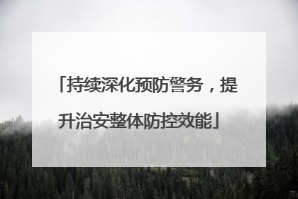 持续深化预防警务，提升治安整体防控效能