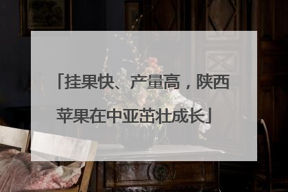 挂果快、产量高，陕西苹果在中亚茁壮成长