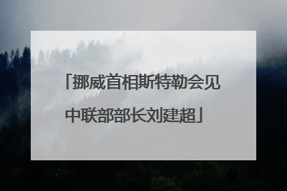 挪威首相斯特勒会见中联部部长刘建超