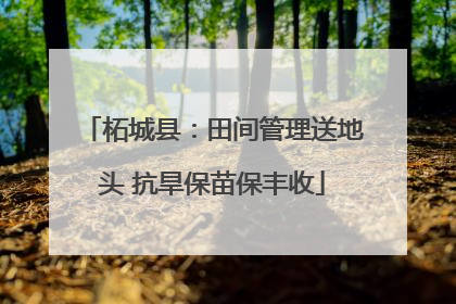 柘城县：田间管理送地头 抗旱保苗保丰收