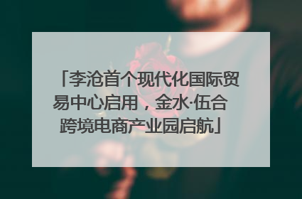 李沧首个现代化国际贸易中心启用，金水·伍合跨境电商产业园启航