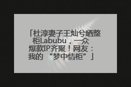 杜淳妻子王灿兮晒整柜Labubu，一众爆款IP齐聚！网友：我的 “梦中情柜”