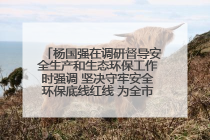 杨国强在调研督导安全生产和生态环保工作时强调 坚决守牢安全环保底线红线 为全市经济社会高质量发展提供坚强保障