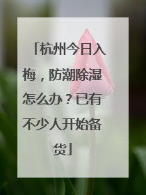 杭州今日入梅，防潮除湿怎么办？已有不少人开始备货