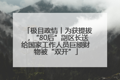 极目政情丨为获提拔，“80后”副区长送给国家工作人员巨额财物被“双开”