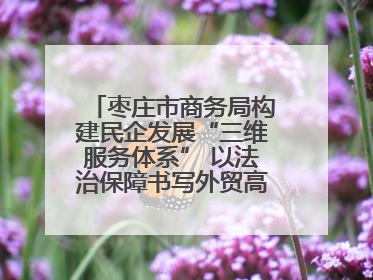 枣庄市商务局构建民企发展“三维服务体系” 以法治保障书写外贸高质量答卷