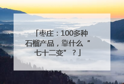 枣庄：100多种石榴产品，靠什么“七十二变”？