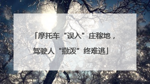 摩托车“误入”庄稼地，驾驶人“撒泼”终难逃