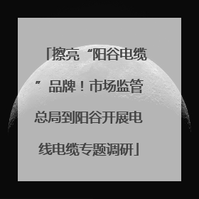 擦亮“阳谷电缆”品牌！市场监管总局到阳谷开展电线电缆专题调研