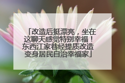 改造后挺漂亮，坐在这聊天感觉特别幸福！东西江家巷经提质改造变身居民自治幸福家