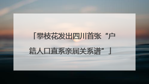 攀枝花发出四川首张“户籍人口直系亲属关系谱”