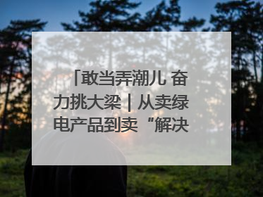 敢当弄潮儿 奋力挑大梁｜从卖绿电产品到卖“解决方案”！溧阳立足产业优势建成五大微电网示范项目