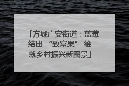 方城广安街道：蓝莓结出 “致富果” 绘就乡村振兴新图景