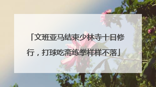 文班亚马结束少林寺十日修行，打球吃斋练拳样样不落