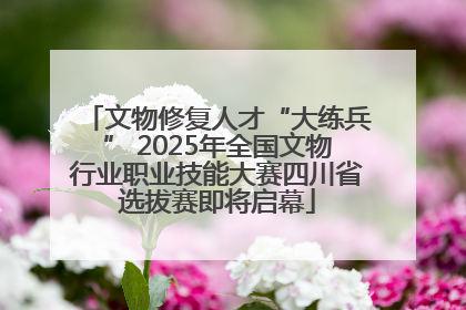 文物修复人才“大练兵” 2025年全国文物行业职业技能大赛四川省选拔赛即将启幕