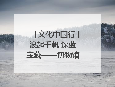 文化中国行丨浪起千帆 深蓝宝藏——博物馆里的海丝遗珍