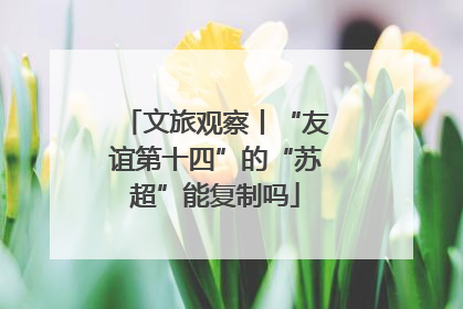 文旅观察丨“友谊第十四”的“苏超”能复制吗