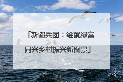 新疆兵团：绘就绿富同兴乡村振兴新图景