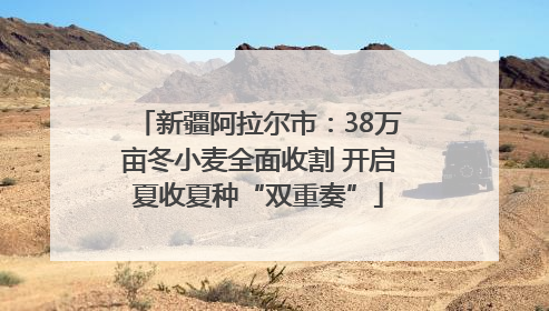 新疆阿拉尔市：38万亩冬小麦全面收割 开启夏收夏种“双重奏”