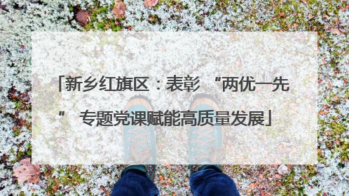 新乡红旗区：表彰 “两优一先” 专题党课赋能高质量发展