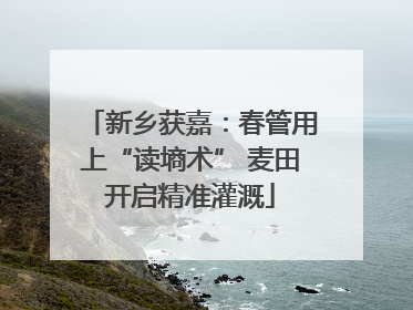 新乡获嘉：春管用上“读墒术” 麦田开启精准灌溉