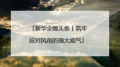 新华全媒头条丨筑牢应对风雨的强大底气