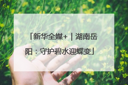 新华全媒+｜湖南岳阳：守护碧水迎蝶变