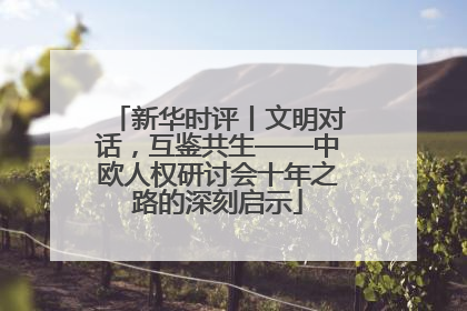 新华时评丨文明对话，互鉴共生——中欧人权研讨会十年之路的深刻启示