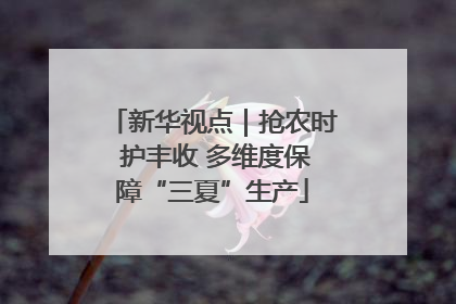 新华视点｜抢农时 护丰收 多维度保障“三夏”生产