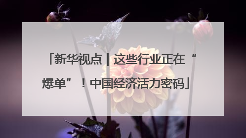 新华视点｜这些行业正在“爆单”！中国经济活力密码