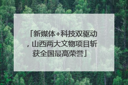新媒体+科技双驱动，山西两大文物项目斩获全国最高荣誉