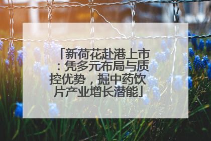 新荷花赴港上市：凭多元布局与质控优势，掘中药饮片产业增长潜能