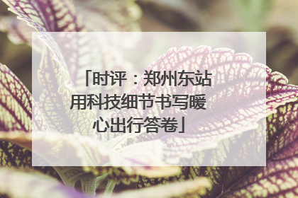 时评：郑州东站用科技细节书写暖心出行答卷