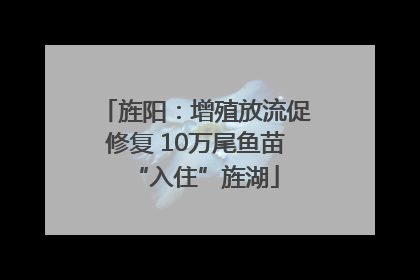 旌阳：增殖放流促修复 10万尾鱼苗“入住”旌湖